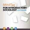 Introductory Sociology 1St Edition