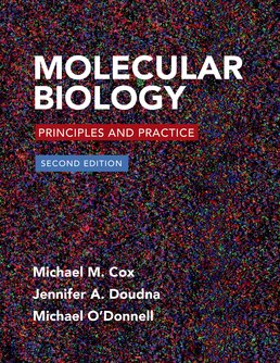 Molecular Biology Second Edition