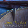 Linear Algebra with Applications Second Edition