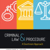 Criminal Law and Procedure 1st Edition A Courtroom Approach