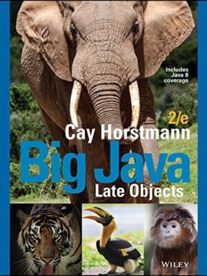 Big Java Late Objects: A Comprehensive Guide to ObjectOriented Programming (2nd Edition)