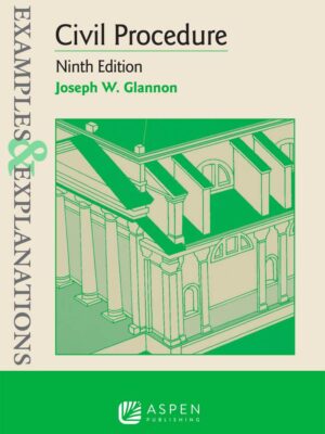 Civil Procedure: A Comprehensive Guide with RealWorld Examples (9th Edition)