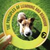 The Principles of Learning and Behavior 7th Edition