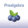 Prealgebra (8th Edition) by Elayn MartinGay