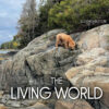 The Living World, 11th Edition