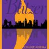 College Algebra: An Early Functions Approach 4th Edition