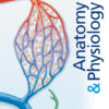 Anatomy & Physiology 7thEdition