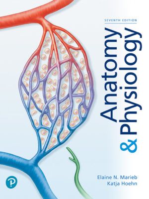 Anatomy & Physiology 7thEdition