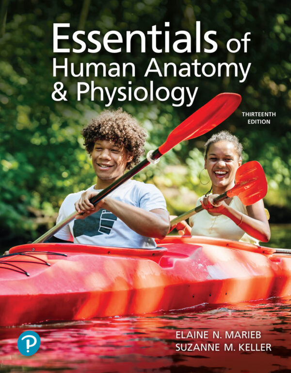 Essentials Of Human Anatomy And Physiology 13Th Edition