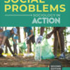Social Problems 2nd Edition Sociology in Action