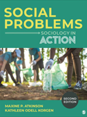 Social Problems 2nd Edition Sociology in Action