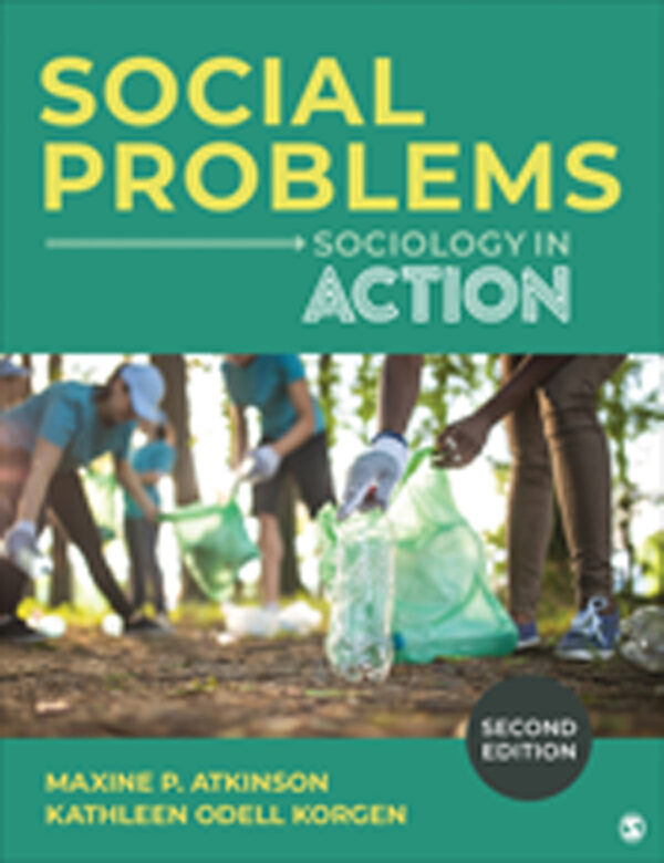 Social Problems 2Nd Edition Sociology In Action