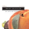 Brief Calculus: An Applied Approach 8th Edition