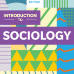 Introduction to Sociology Seagull Edition 13th Edition