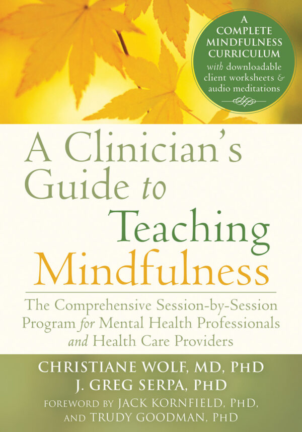 A Clinician'S Guide To Teaching Mindfulness The Comprehensive Session-By-Session Program For Mental Health Professionals And Health Care Providers