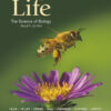 Life: The Science of Biology Digital Update Twelfth Edition