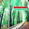 Beginning Algebra, 13th edition