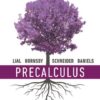 Precalculus, 7th edition