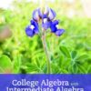College Algebra with Intermediate Algebra: A Blended Course, 1st edition